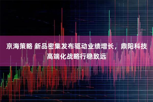 京海策略 新品密集发布驱动业绩增长，鼎阳科技高端化战略行稳致远