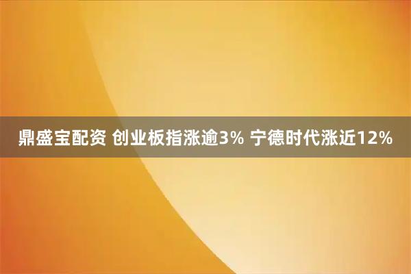 鼎盛宝配资 创业板指涨逾3% 宁德时代涨近12%