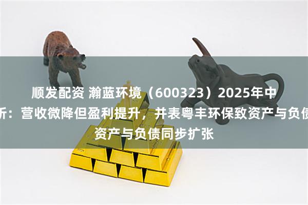 顺发配资 瀚蓝环境（600323）2025年中报财务分析：营收微降但盈利提升，并表粤丰环保致资产与负债同步扩张