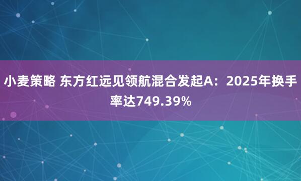 小麦策略 东方红远见领航混合发起A：2025年换手率达749.39%