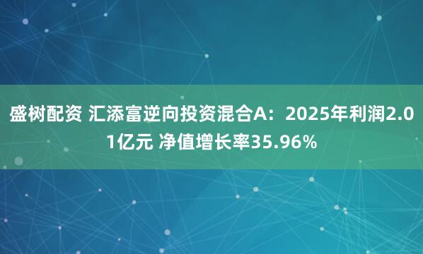 盛树配资 汇添富逆向投资混合A：2025年利润2.01亿元 净值增长率35.96%