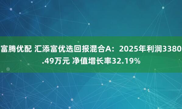 富腾优配 汇添富优选回报混合A：2025年利润3380.49万元 净值增长率32.19%